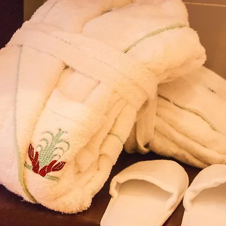 Domus Mariae Benessere 4*
